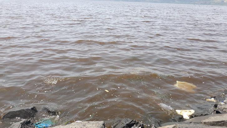 Küçükçekmece Gölü kahverengiye büründü G3