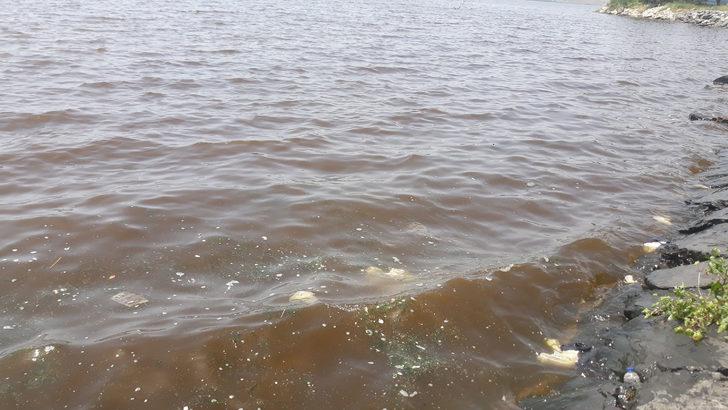 Küçükçekmece Gölü kahverengiye büründü G4