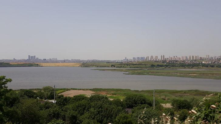 Küçükçekmece Gölü kahverengiye büründü G1