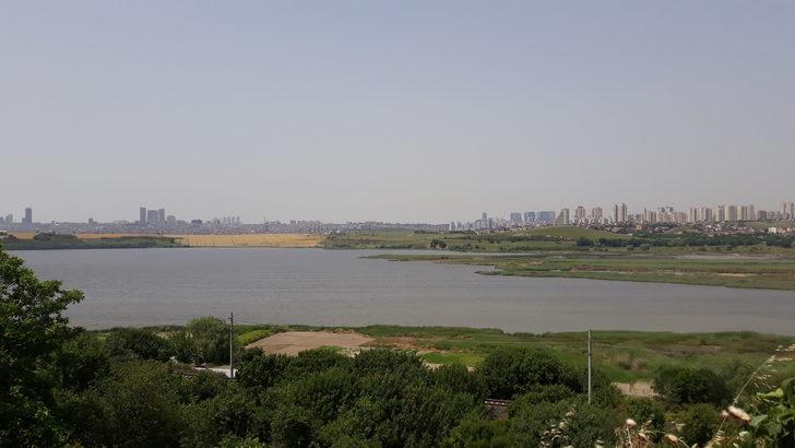 Küçükçekmece Gölü kahverengiye büründü G5