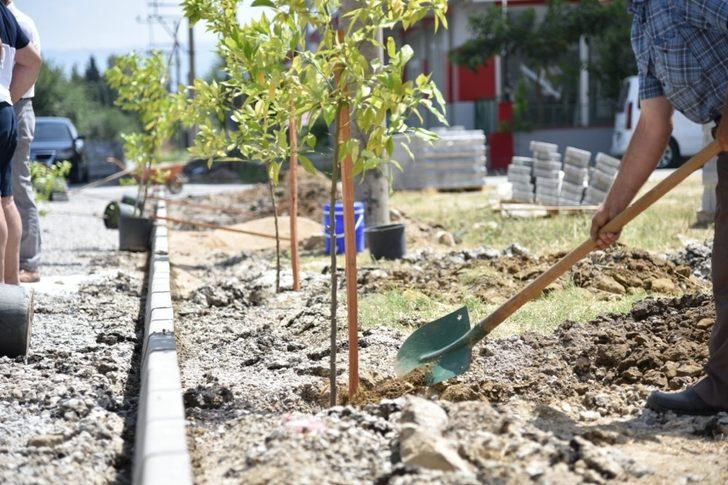 İncirliova’da ağaçlandırma çalışmaları devam ediyor G5