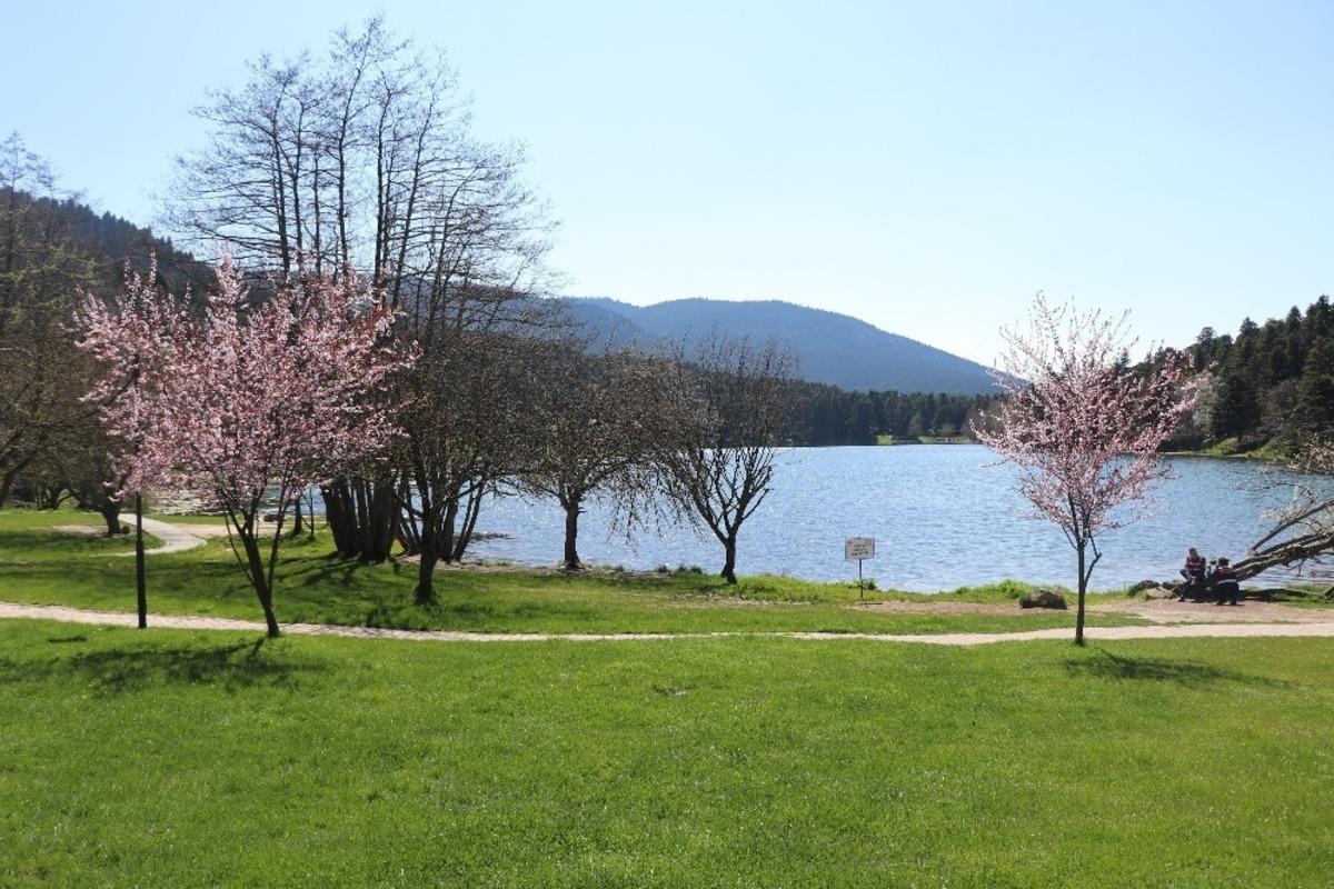 Bolu&rsquo;da tabiat ve milli parklarda randevulu sistem uygulanmayacak