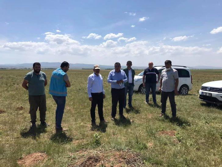 Altıntaş’ta buğday ve arpada zarar 200 bin dekar G3