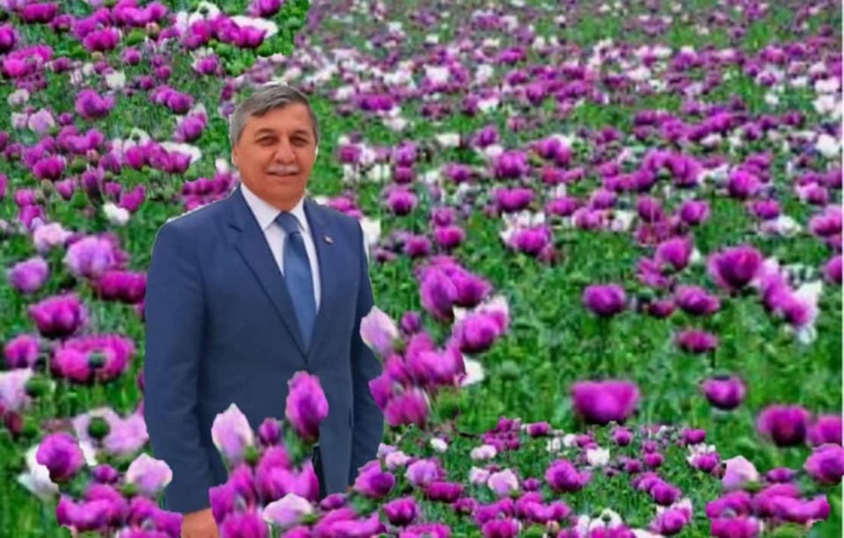 Haşhaş tarlalarında a&ccedil;an mor ve beyaz &ccedil;i&ccedil;ekler g&ouml;rsel ş&ouml;len oluşturuyor