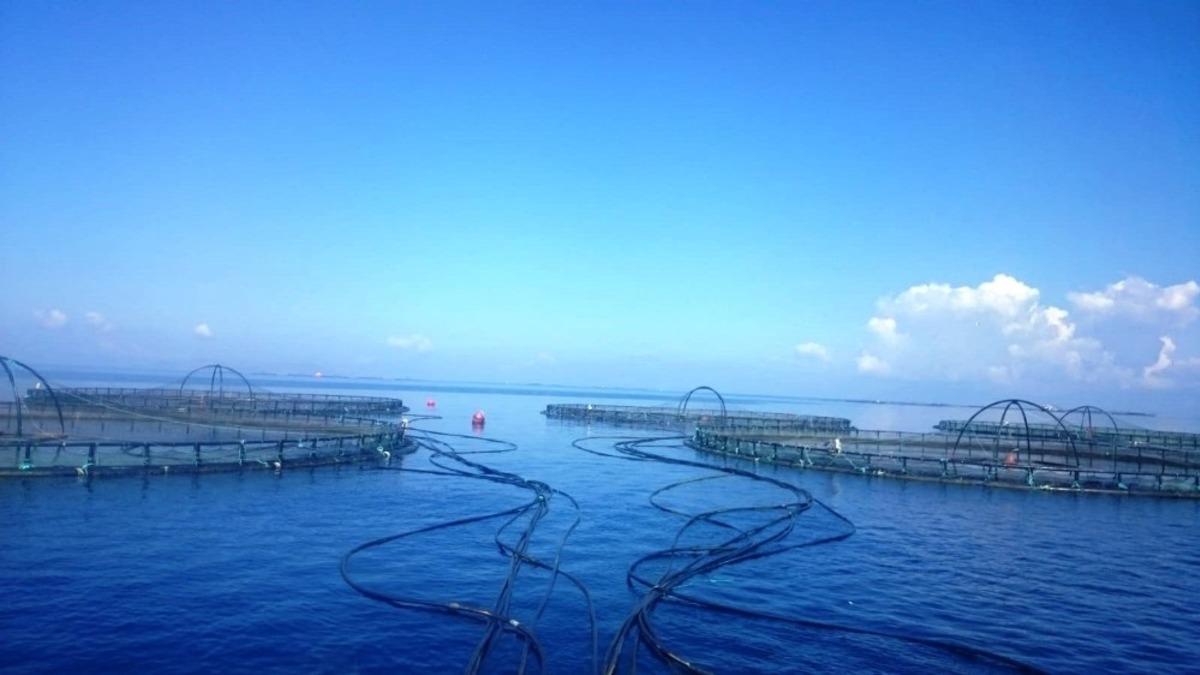 Aydın&rsquo;da Mayıs ayında 94 tesiste su &uuml;r&uuml;n&uuml; denetimi ger&ccedil;ekleştirildi