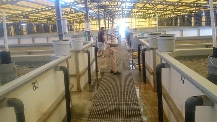 Aydın’da Mayıs ayında 94 tesiste su ürünü denetimi gerçekleştirildi G2