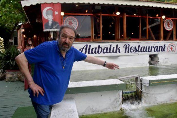 Kırklareli'nde nesli tükenme tehlikesi altındaki geyik böceği görüntülendi G3