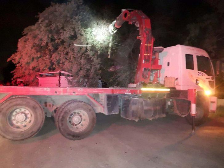 Üzerine ağaç devrilen hayvanlar yara almadan kurtuldu G2