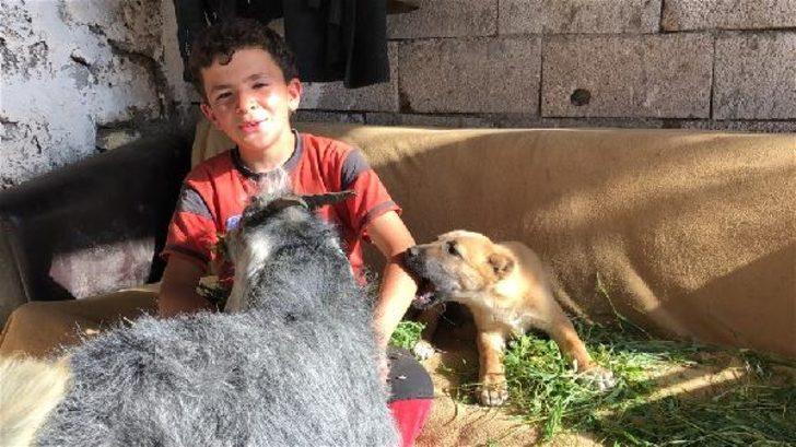 Yer: Kars! 'Bremen Mızıkacıları' gerçek oldu G1