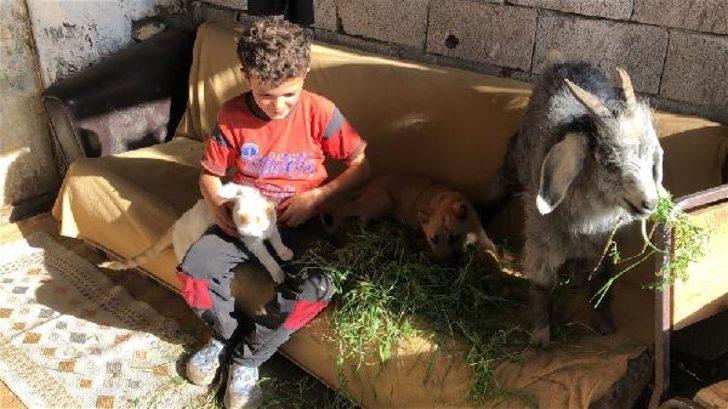 Yer: Kars! 'Bremen Mızıkacıları' gerçek oldu G3