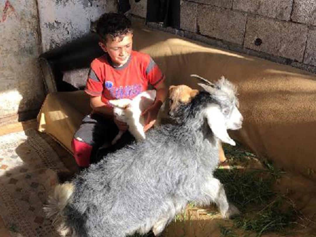 Yer: Kars! 'Bremen Mızıkacıları' ger&ccedil;ek oldu