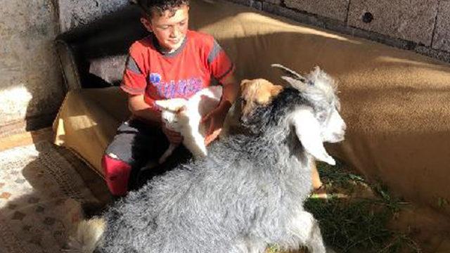 Yer: Kars! 'Bremen Mızıkacıları' gerçek oldu