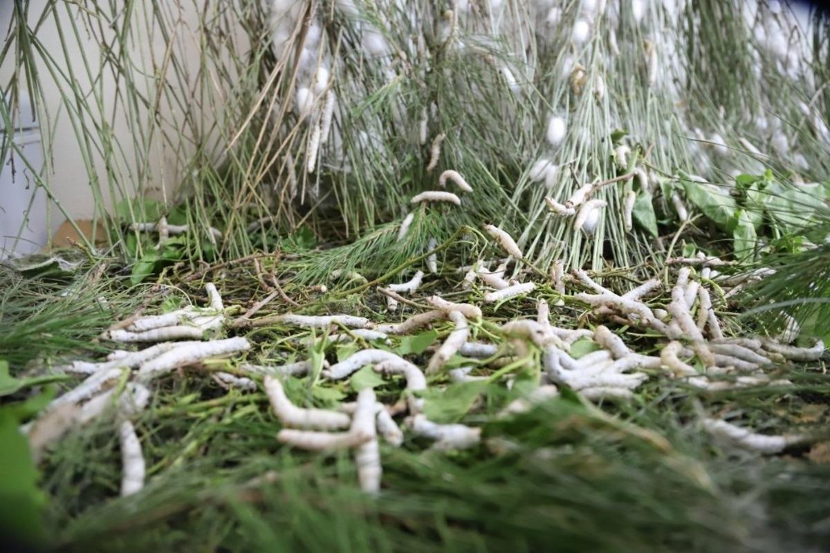 Menderes Belediyesinden kadın &uuml;reticilere destek