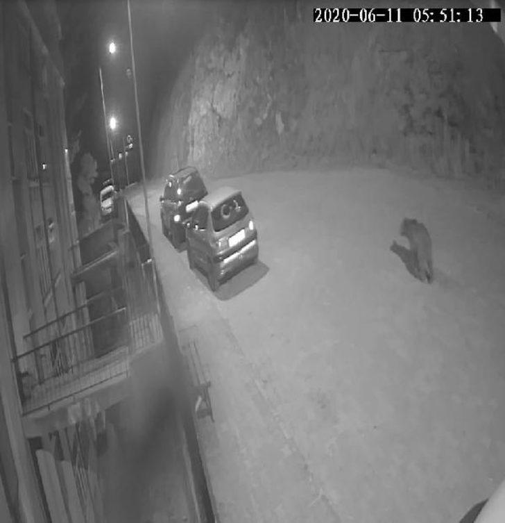 Geceyi bekleyip, pencere ve balkonlara çıkıyorlar! Görüntülemek için birbirleriyle yarışıyorlar G4