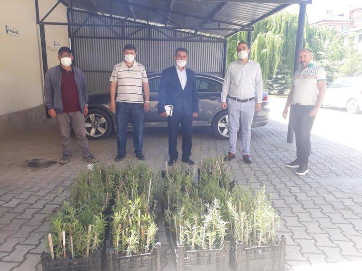 Simav’da Gojiberry üretimine fidan desteği G2