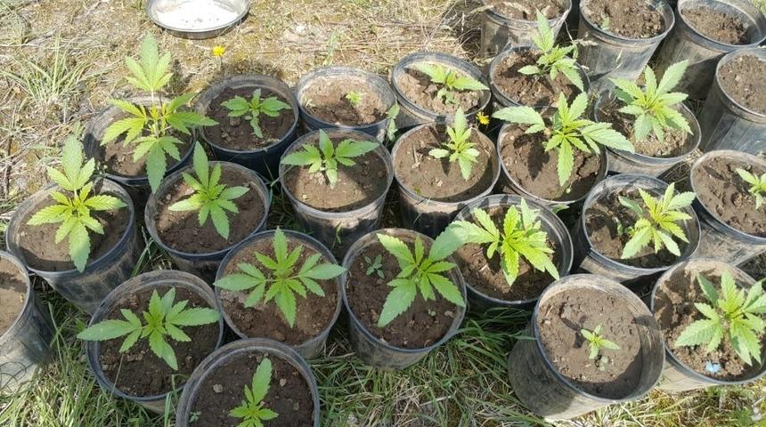 K&ouml;yceğiz&rsquo;de Uyuşturucu Operasyonu: 1 G&ouml;zaltı