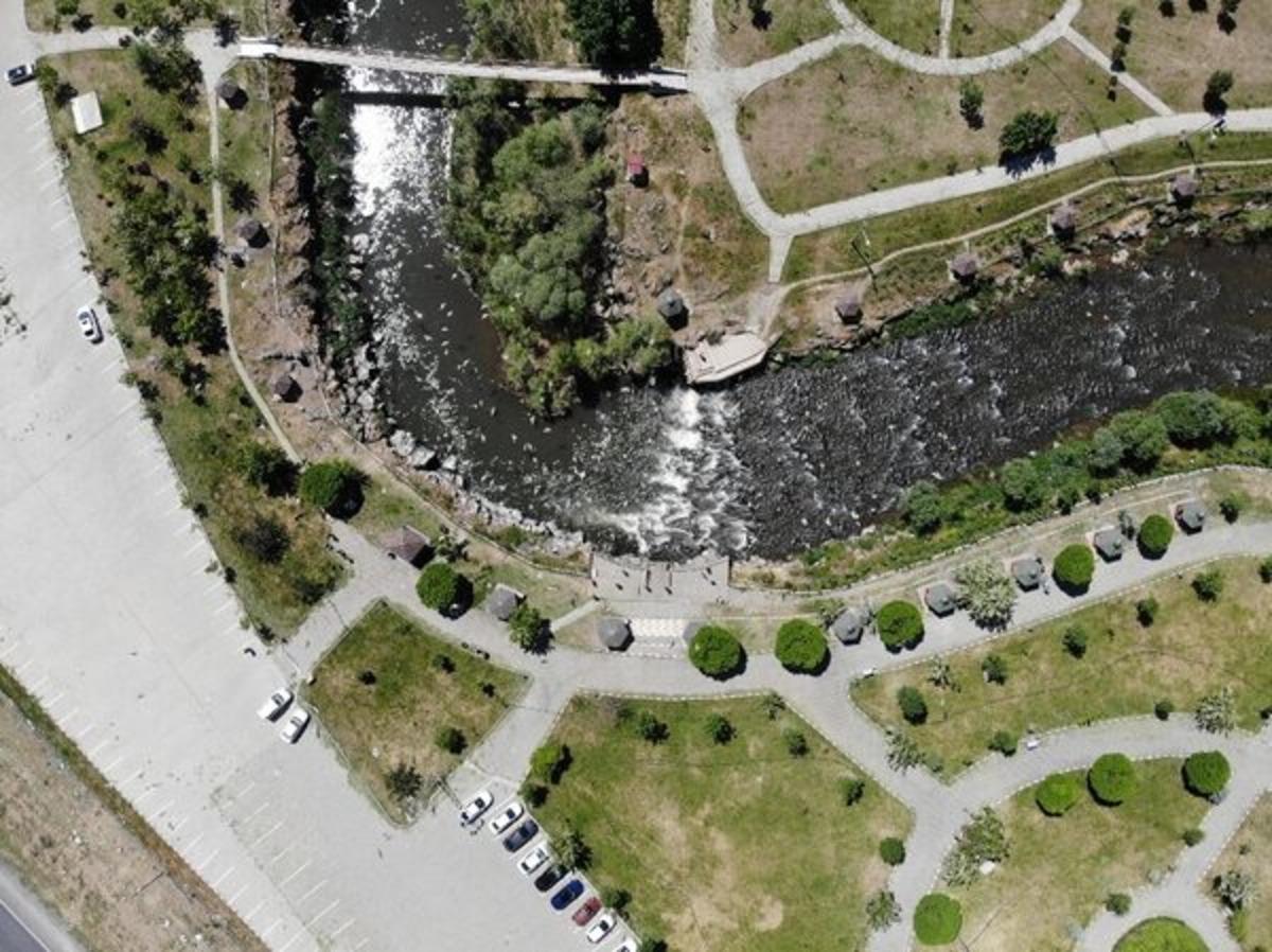 İnci kefalinin zorlu yolculuğu