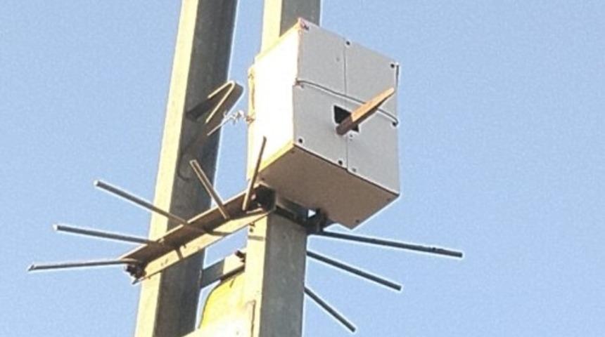 Kuşlar i&ccedil;in elektrik direğine yuva yaptı