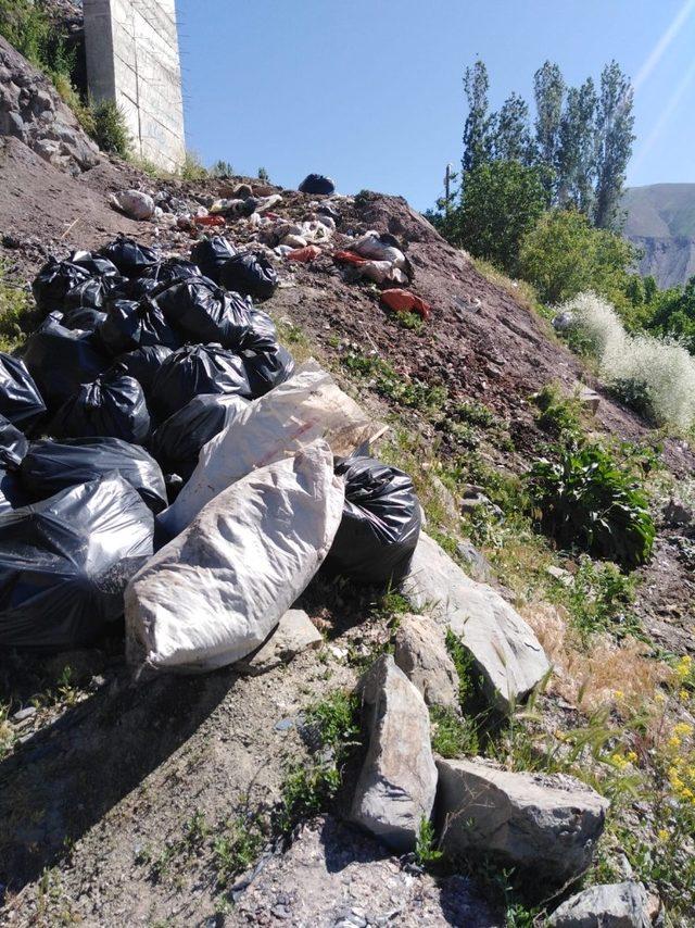 Hakkari’de tonlarca çöp toplandı