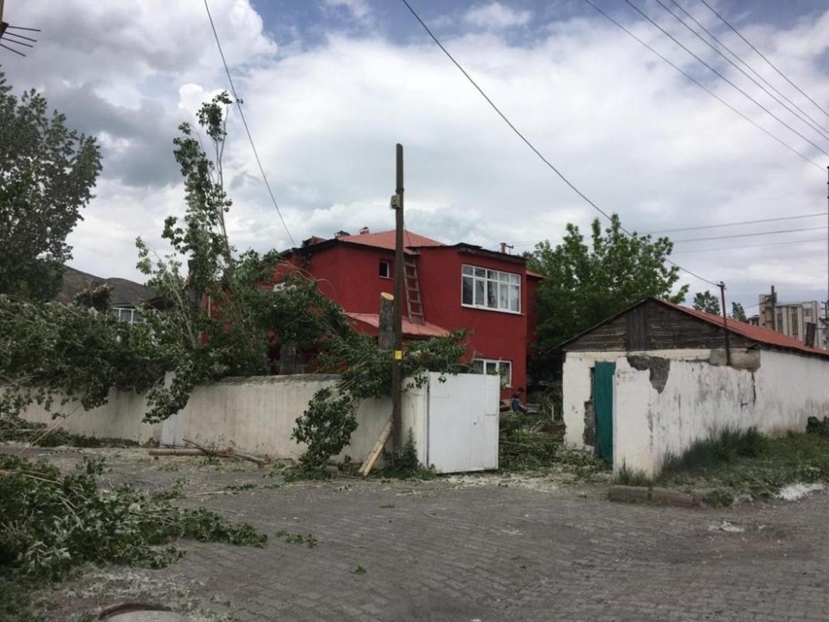 Kars&rsquo;ta belediye polenli ağa&ccedil;ları kesiyor