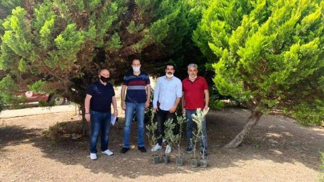 Ayvalık MYO zeytin fidanlarını toprakla buluşturdu