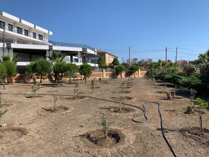 Ayvalık MYO zeytin fidanlarını toprakla buluşturdu G4