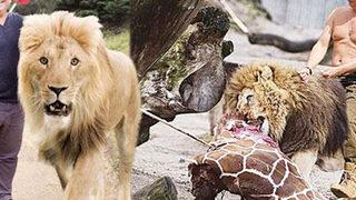 Gani Müjde Putin'in aslanıyla  poz verdi