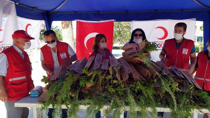 Kızılay, kuruluşunun 152. yılı anısına bin 152 fidan dağıttı G4