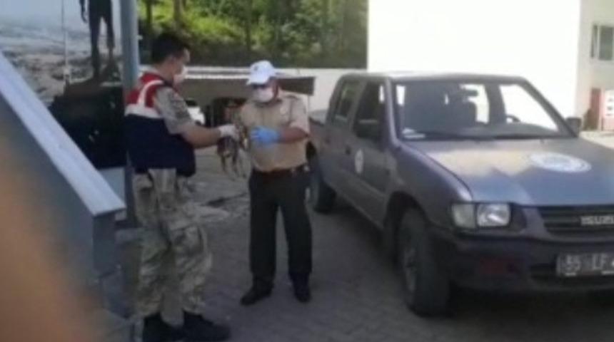 Duyarlı vatandaş karacayı jandarmaya teslim etti