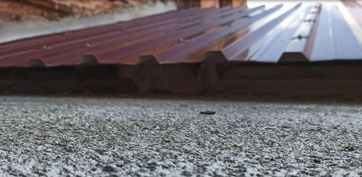 Ekipler mahsur kalan kedi i&ccedil;in seferber oldu
