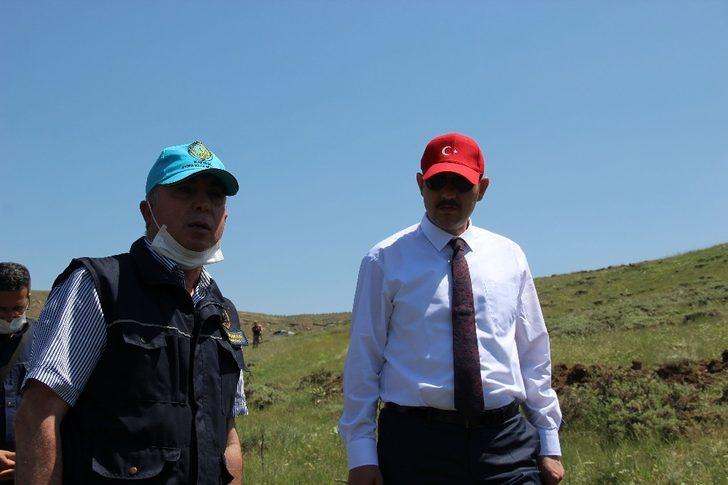 648 bin Sivaslı adına fidan dikilecek G2