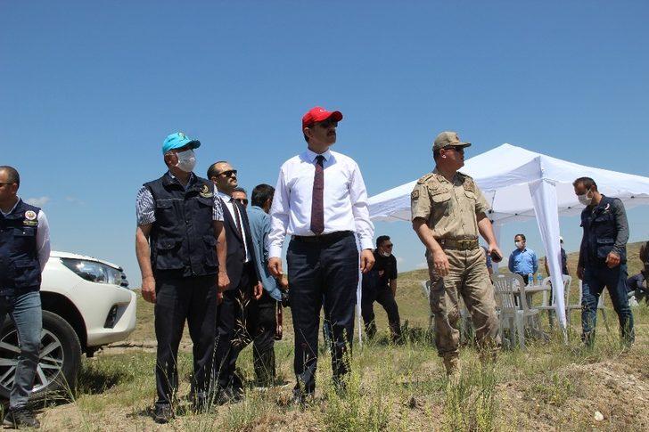 648 bin Sivaslı adına fidan dikilecek G4