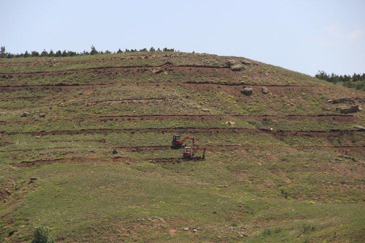 648 bin Sivaslı adına fidan dikilecek G5