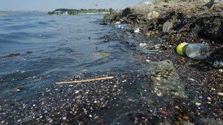 Küçükçekmece Gölü'nde tepki çeken görüntü! Kahverengiye büründü