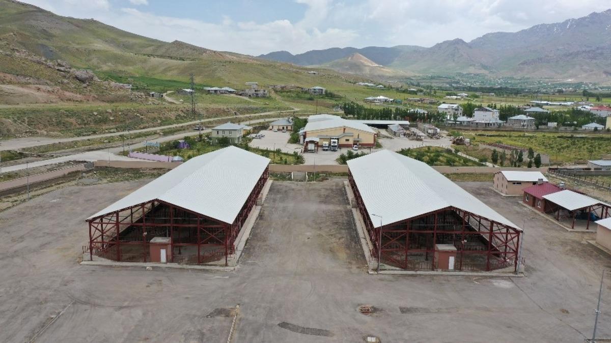 B&ouml;lgenin en b&uuml;y&uuml;k hayvan pazarı a&ccedil;ılış i&ccedil;in g&uuml;n sayıyor