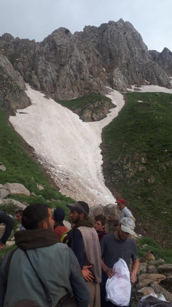 Dağdan düşen kayalar 20 hayvanı telef etti G2