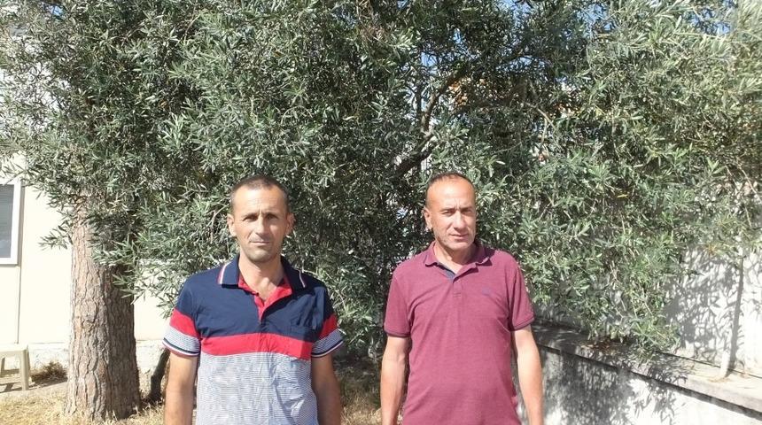 Burhaniyeli zeytinciler ilaçlama bekliyor