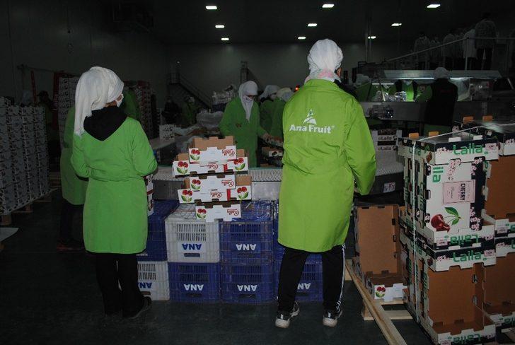 Vali Seymenoğlu, ANA FRUIT Tesislerini ziyaret etti G3