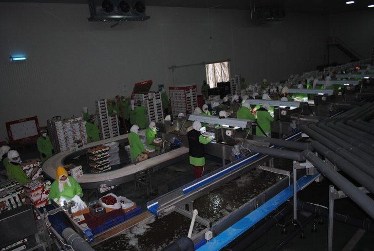 Vali Seymenoğlu, ANA FRUIT Tesislerini ziyaret etti G4