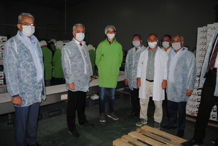 Vali Seymenoğlu, ANA FRUIT Tesislerini ziyaret etti G5