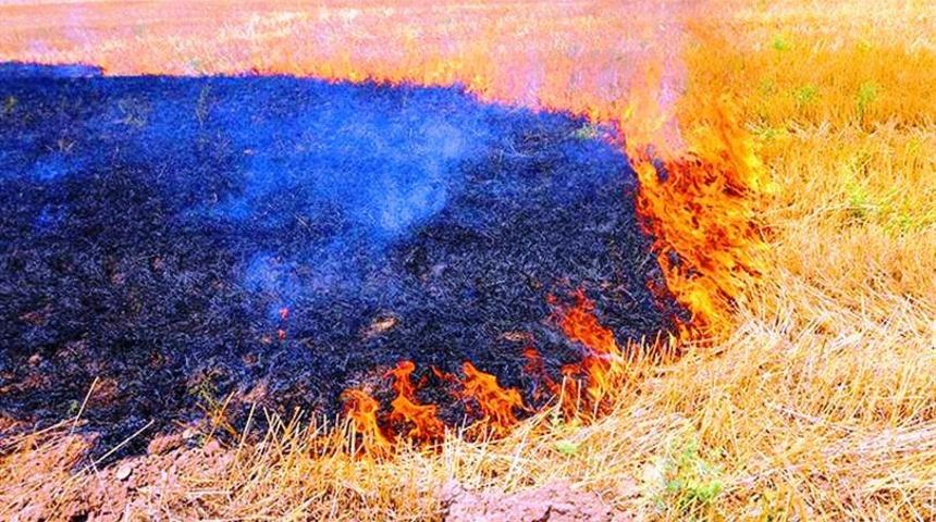 Şanlıurfa’da anız yakanlara taviz verilmeyecek