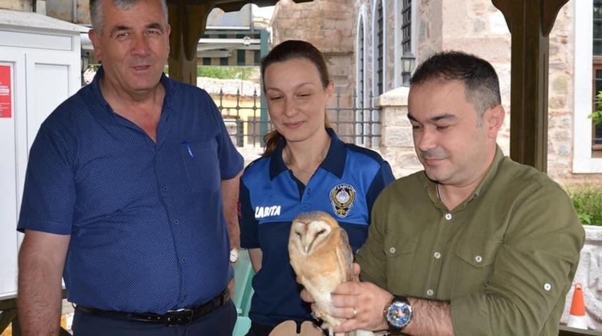 Yaralı puhu kuşuna zabıta ekibi sahip çıktı