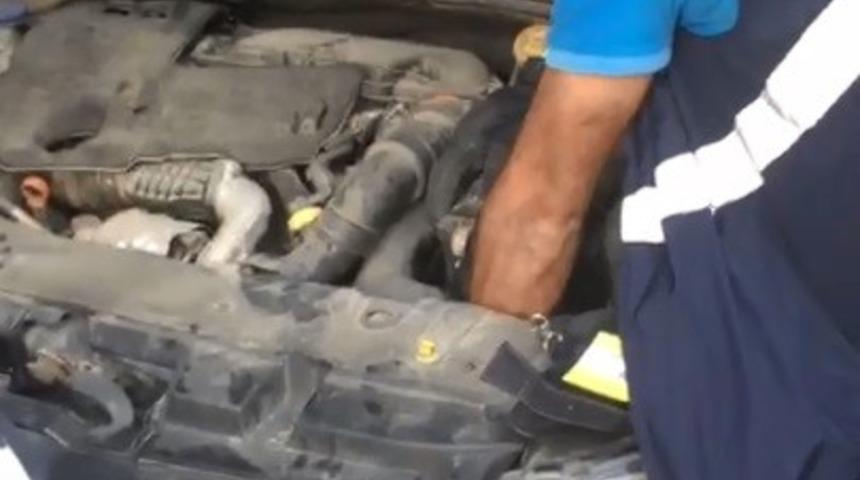 T&uuml;rkeli&rsquo;de otomobilin motoruna sıkışan yavru kedi kurtarıldı