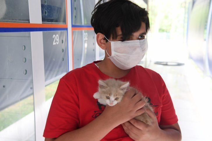 Yavru kedi Işık, kanalizasyondan kurtulup sıcak yuvaya kavuştu G1