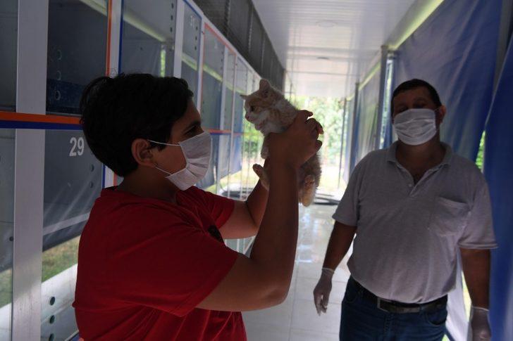 Yavru kedi Işık, kanalizasyondan kurtulup sıcak yuvaya kavuştu G2