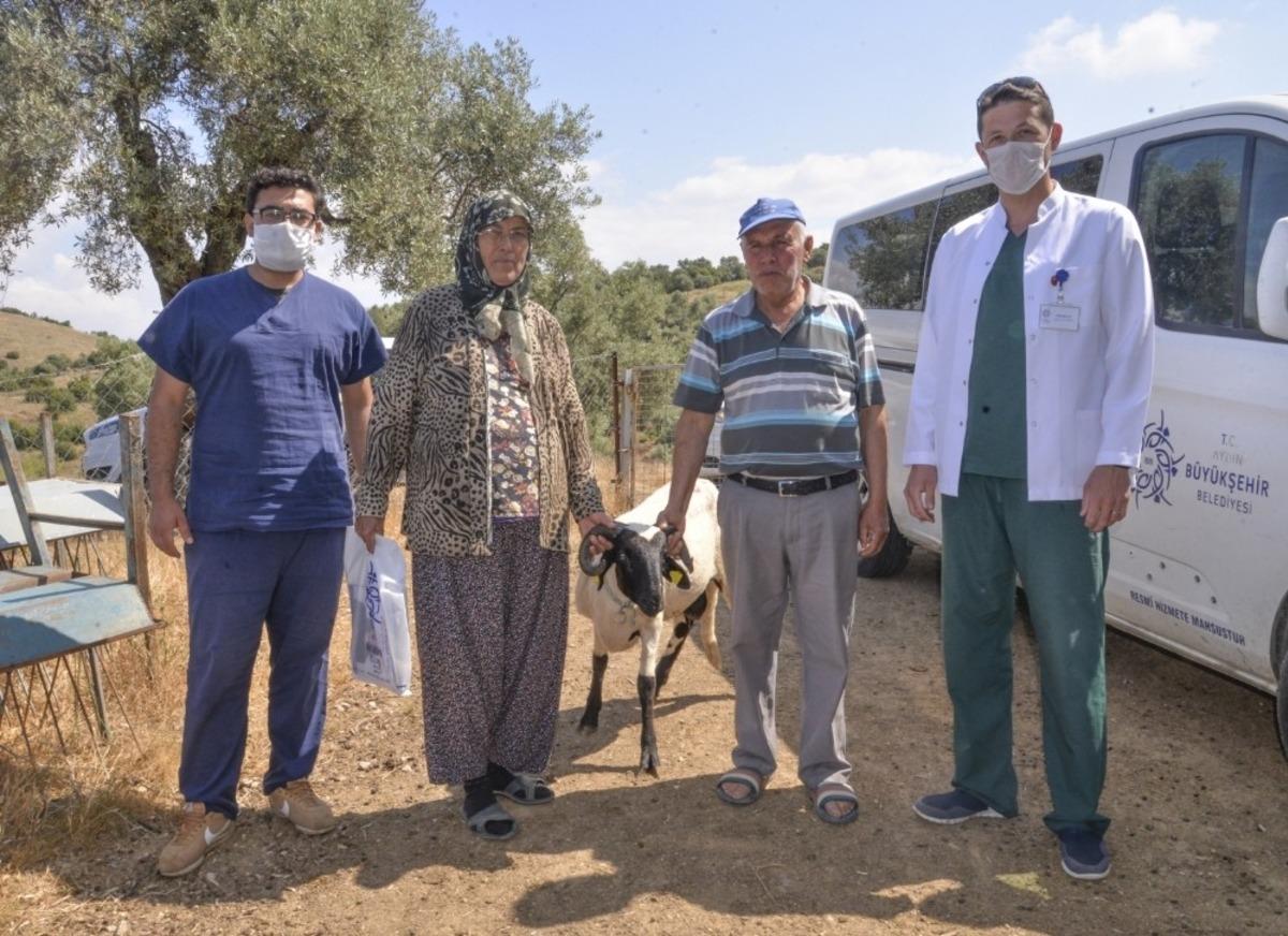 B&uuml;y&uuml;kşehir&rsquo;in Sakız Koyunu desteği s&uuml;r&uuml;yor