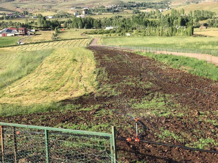 Bingöl’de 121 bin 670 dekar tarım arazisi sulanmaya başladı G2