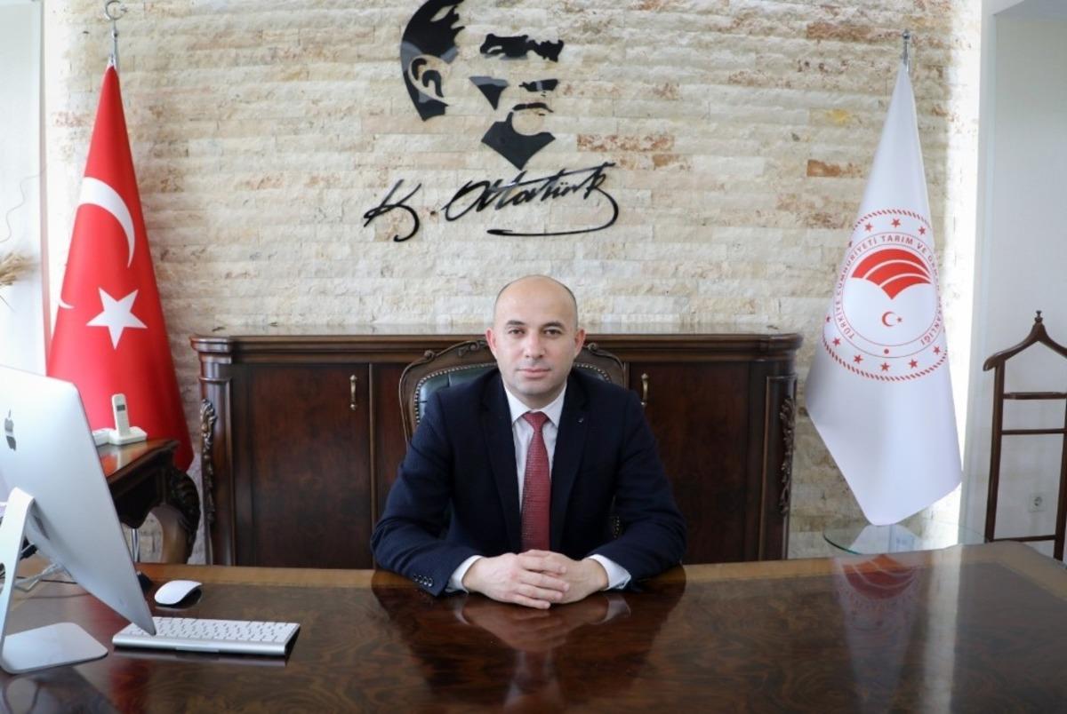 Mantar sineği biyolojik m&uuml;cadele ile kontrol altında