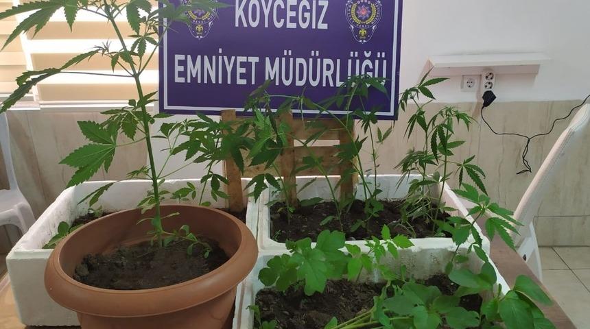 Köyceğiz’de polis uyuşturucuya geçit vermiyor