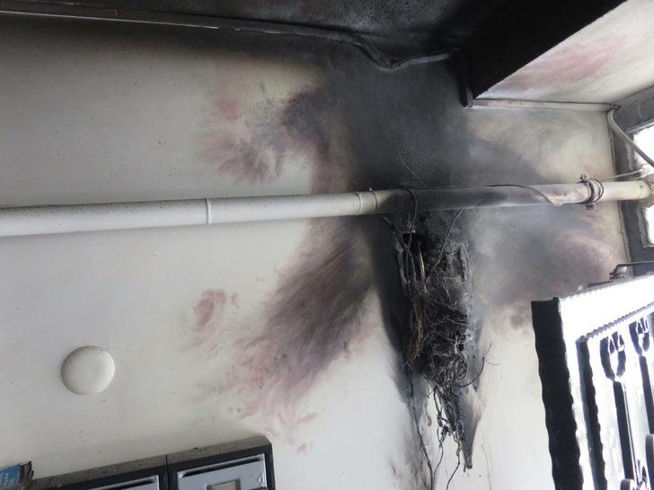 Ümraniye'de korku dolu anlar! Mahalleli sokağa döküldü G1